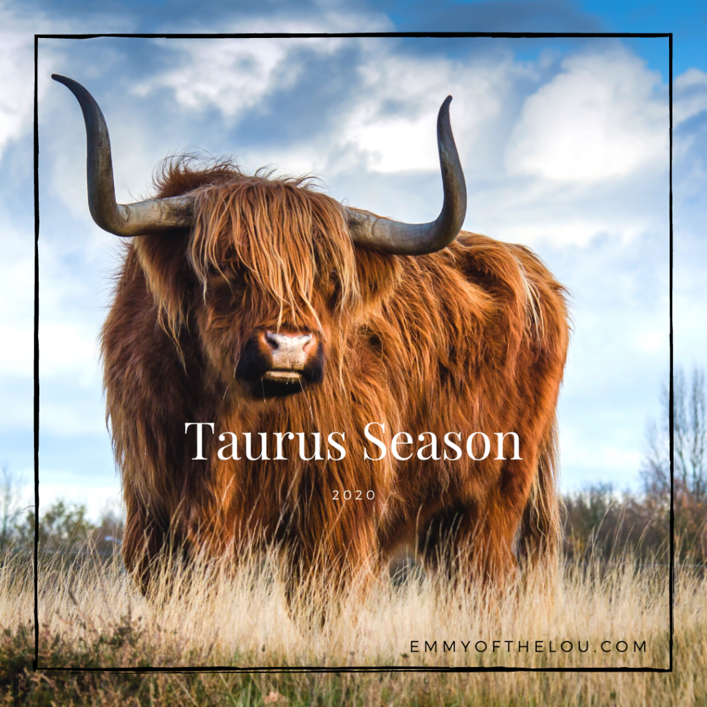 Taurus Season 2020 - Emmy of the Lou